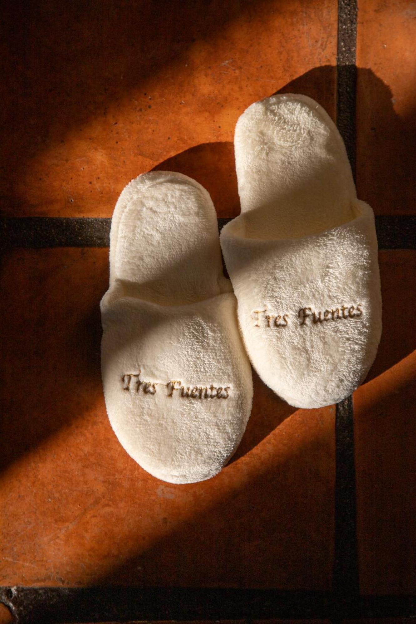 Tres Fuentes Dickinson Hotel Boutique San Miguel de Allende Dış mekan fotoğraf