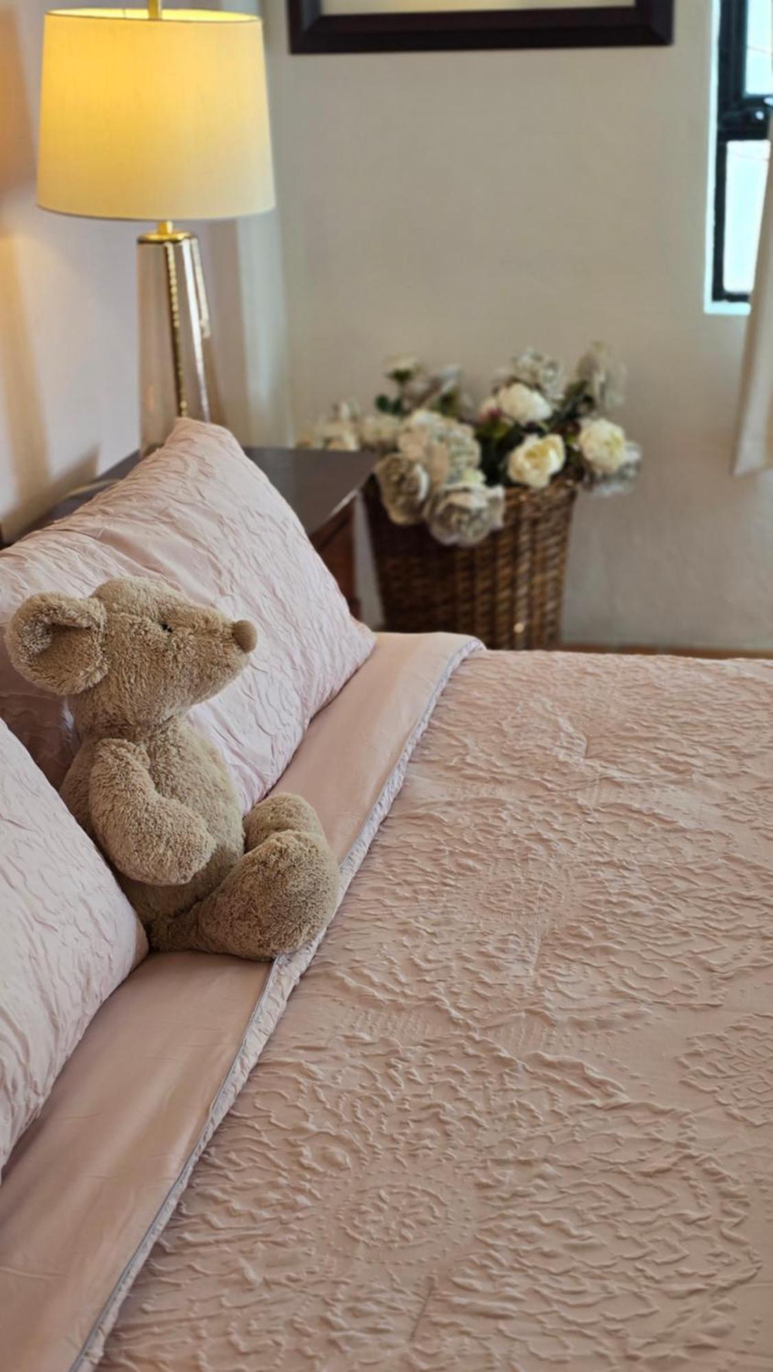 Tres Fuentes Dickinson Hotel Boutique San Miguel de Allende Dış mekan fotoğraf
